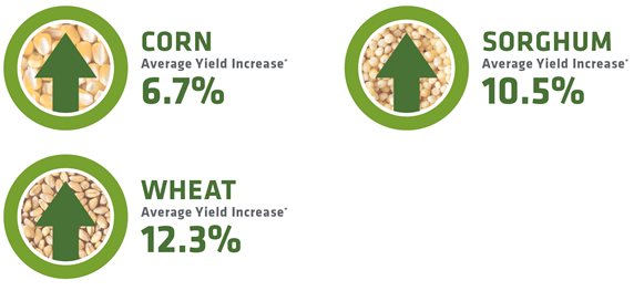 AmChlor-yield-increases